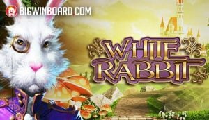 เครดิต ฟรี ถอน ได้ 2020 วิธีเล่นที่คุณควรรู้